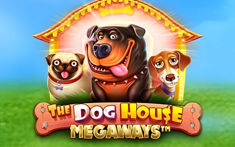 Spin in The Dog House Megaways popular casino game at Lucky Coin.